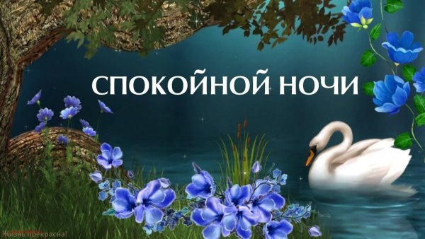 Хороших снов