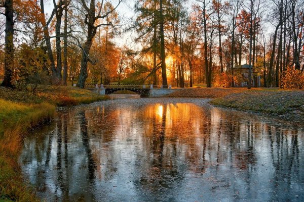 Утренняя осень