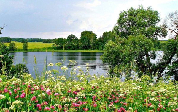 Летний пейзаж