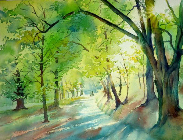 Лес акварелью