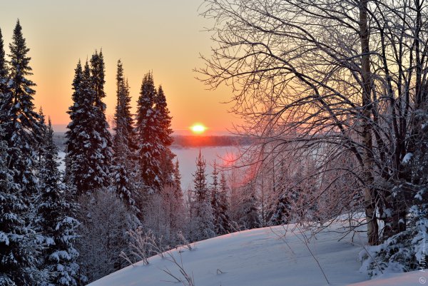 Декабрьское утро Тютчев