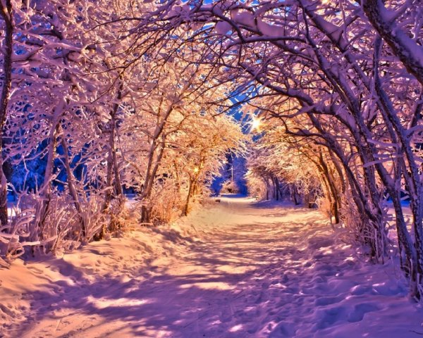 Новогодний пейзаж