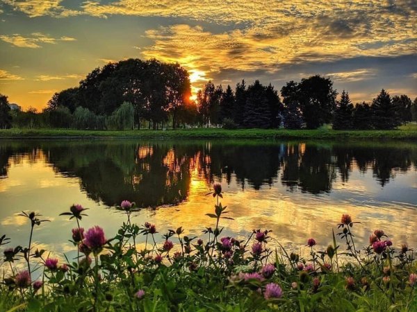 Вечерний пейзаж