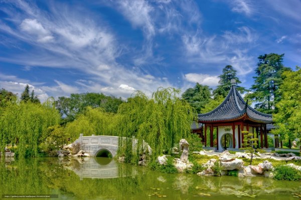 Китайский сад в Москве Ботанический сад
