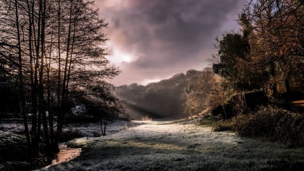 Мрачный пейзаж