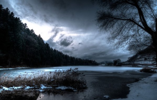 Темный пейзаж