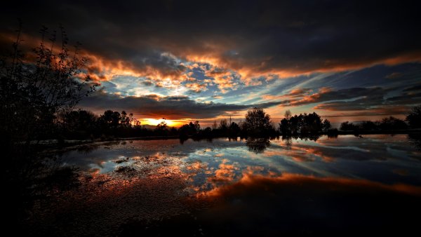 Ночной пейзаж