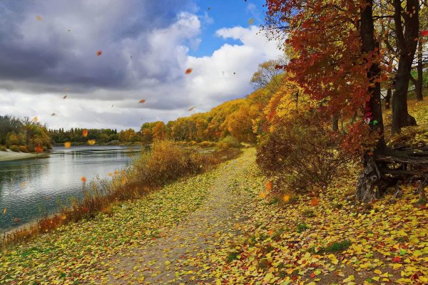 Природа осень листопад