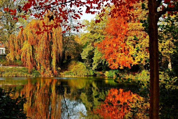 Листопад пейзаж