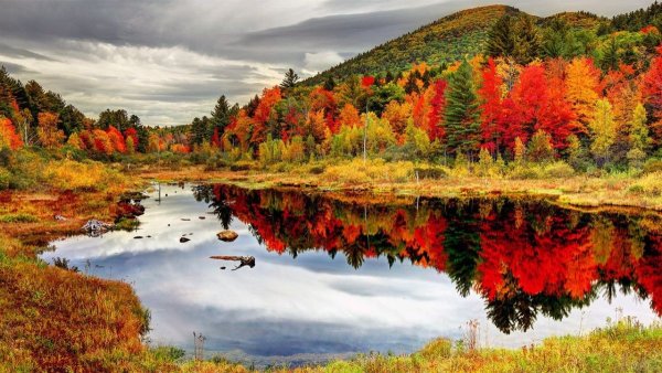 Осенний листопад