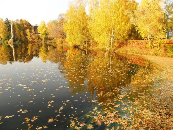 Золотая осень