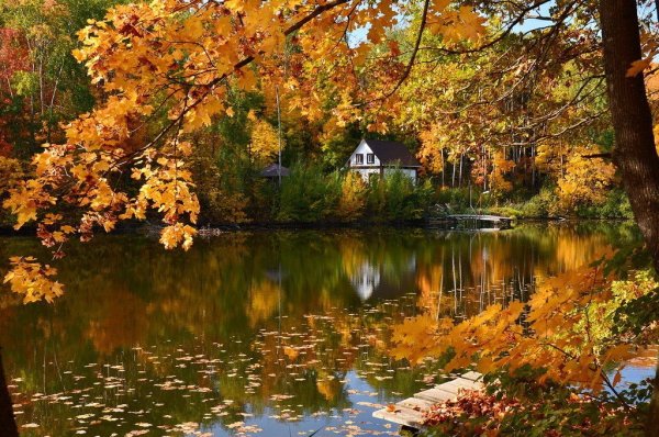 Борис Пастернак Золотая осень