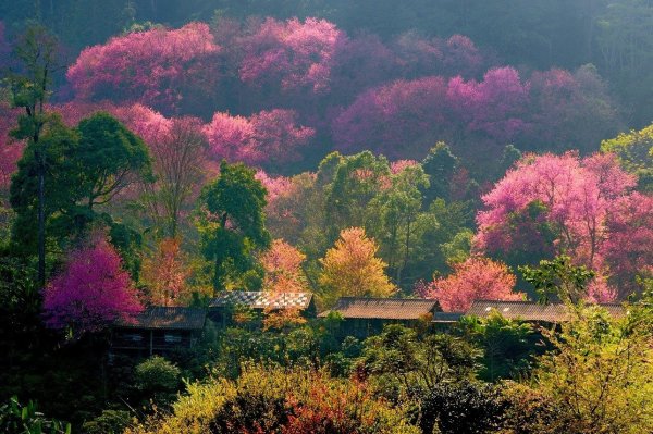 Гора Фудзияма в Японии