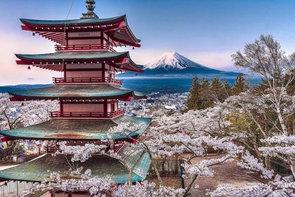 Япония цветение Фудзи