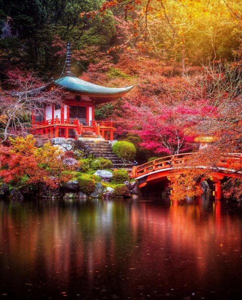 Природа Японии Фудзи Сакура