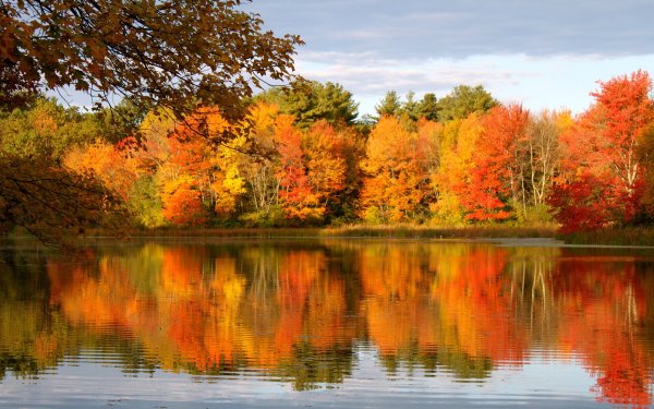 Золотая осень