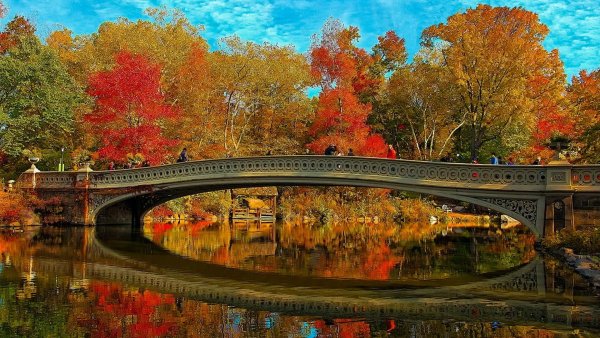 Красивая осень