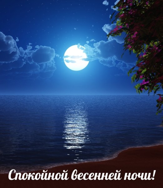 Красивые ночные пейзажи