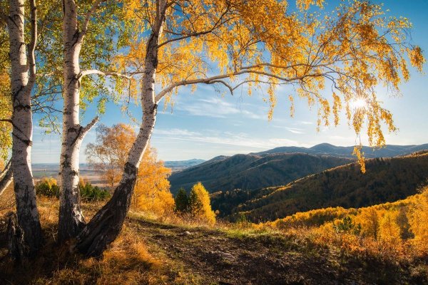 Золотая осень храмы Вологда