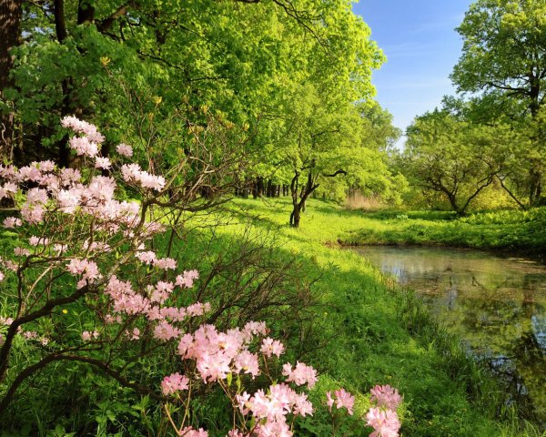 Весенний пейзаж
