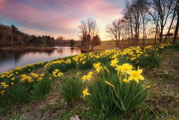 Природа России