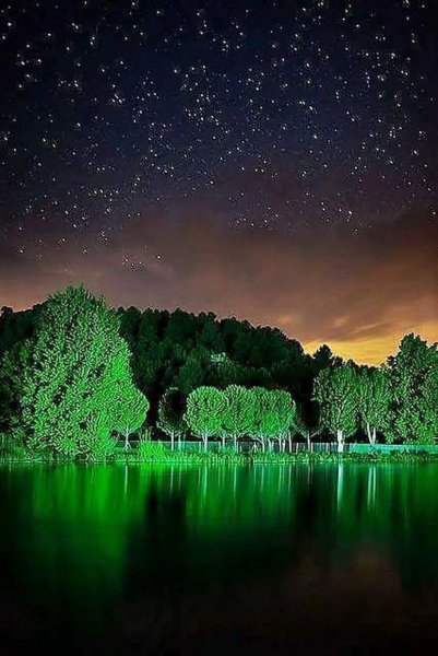 Летняя ночь