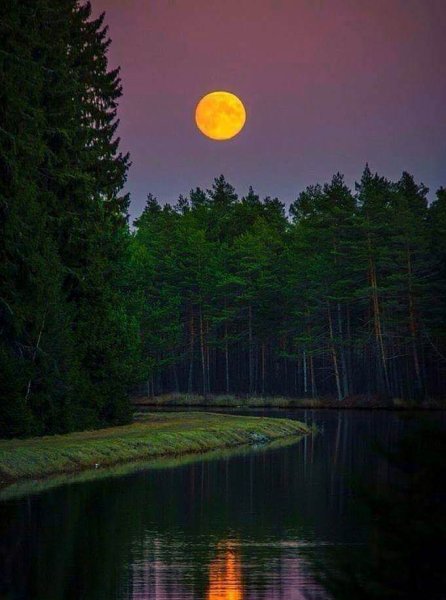 Луна на рассвете