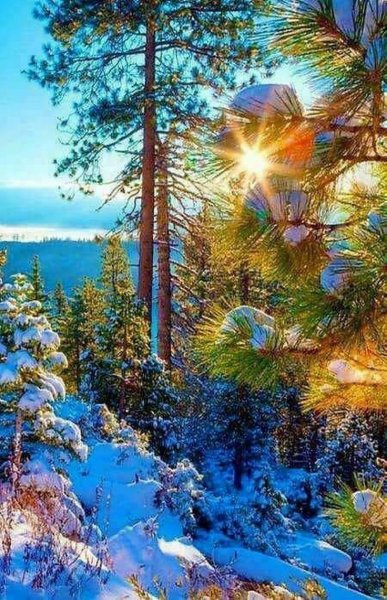 Новогодний пейзаж