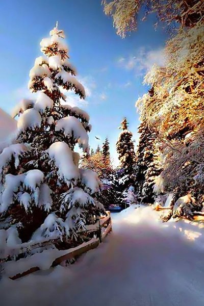 Красивый зимний фон