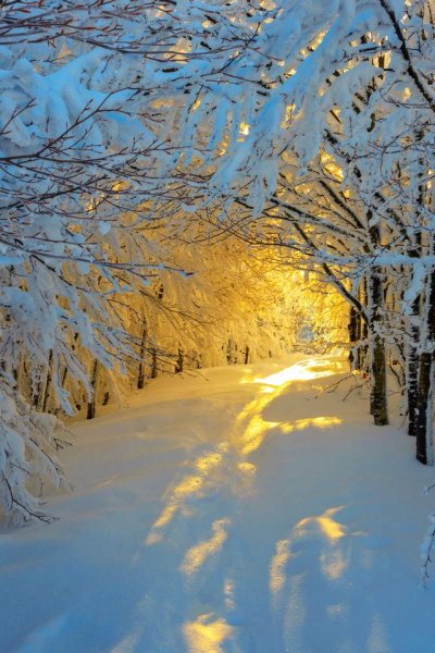 Солнце зимой