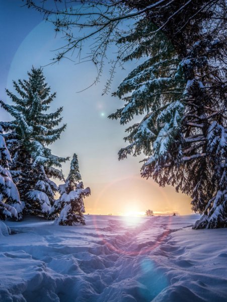 Даниил Коржонов Шатура