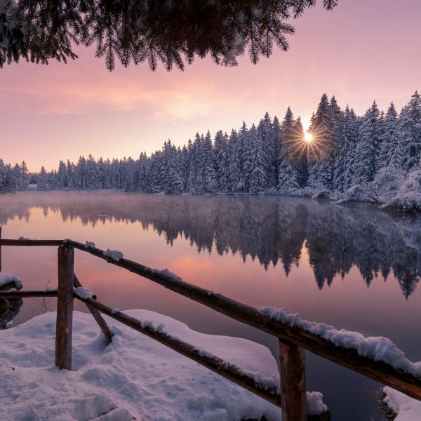 Закат в зимнем лесу