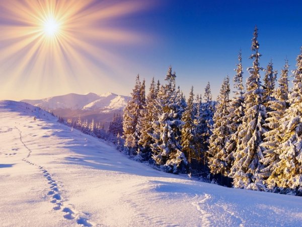 Зима вертикальные