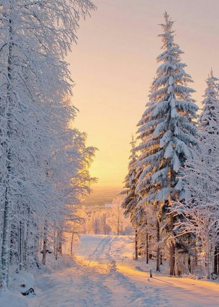 Природа зима