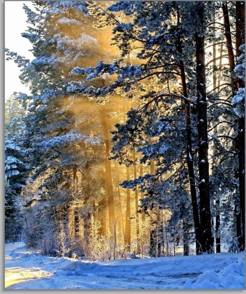 Красивая зима