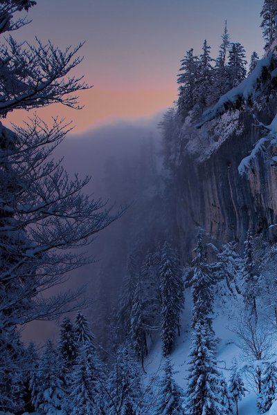 Зимний пейзаж