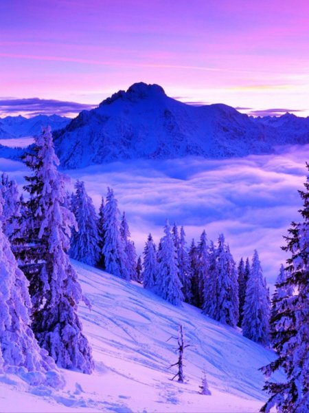 Зимний пейзаж вертикальный