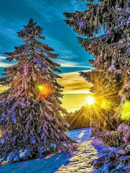 Красивая зима