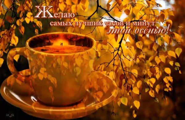 Солнечный осенний день