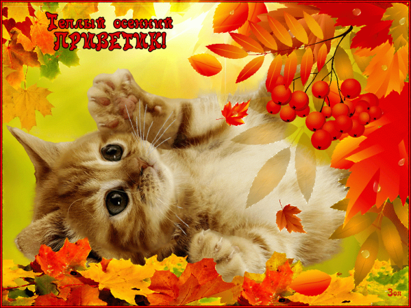 С добрым утром осенним с пожеланиями