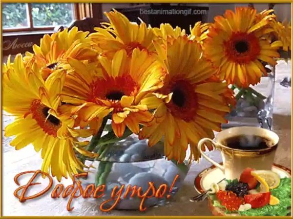 Прекрасной осенней субботы