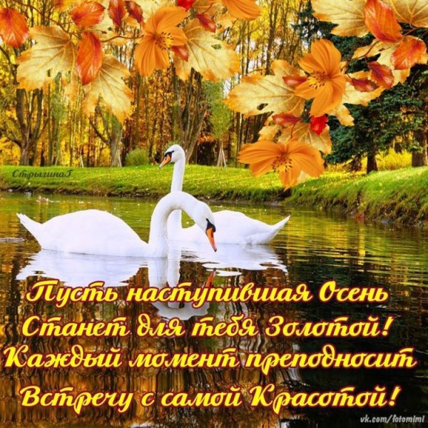 Пожелания доброго осеннего утра и хорошего