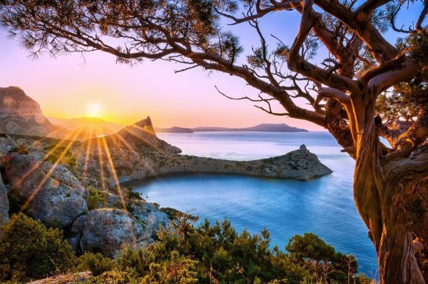 Новый свет Крым пейзаж