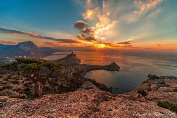 Судак новый свет панорама