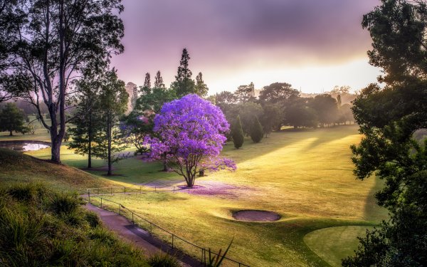 Необычные пейзажи