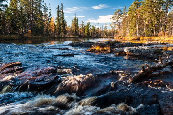 Природа Карелия Республика Карелия