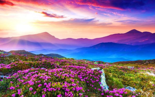 Краски осени