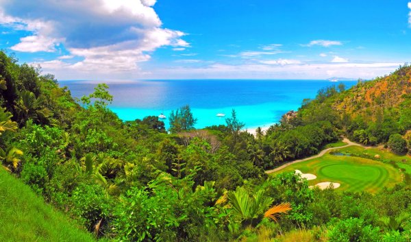 Море зелень