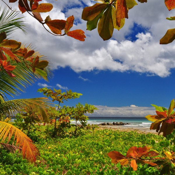 Экзотические пейзажи