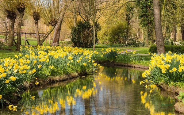 Природа весной